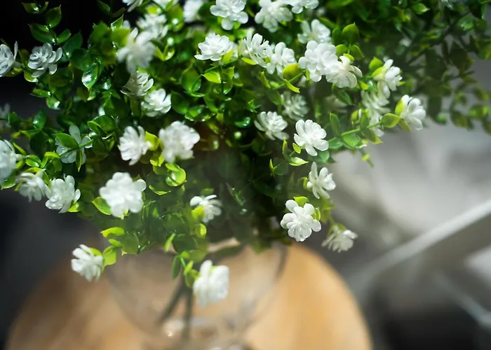 Boliches 2nd Line Apartament