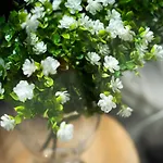 Boliches 2nd Line Appartamento