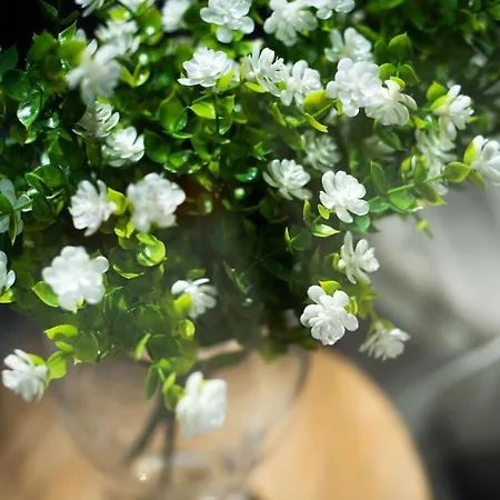 Boliches 2nd Line Apartment